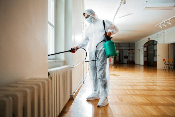 Real Estate Pest Inspections in St Helens, OR